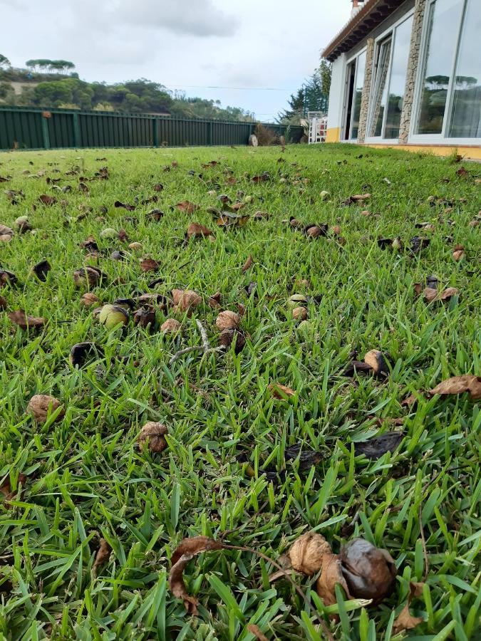 Quintal Do Freixo - Country House Sobral de Monte Agraco Exterior photo